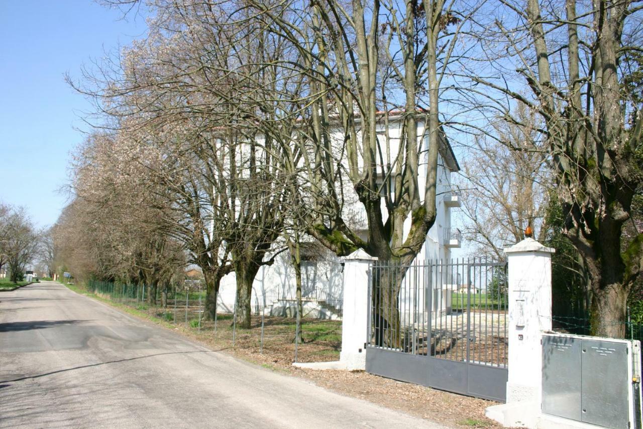 Villa Dei Tigli San Vicenzo di Galliera Zewnętrze zdjęcie